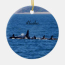 Suche nach orca schmuck Alaska