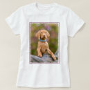 Recherche de vizsla tshirts Amoureux de les chiens