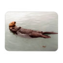 Suche nach niedliche otter magnete Alaska