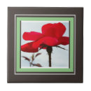 Suche nach das schlafzimmer fliesen Blume