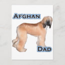 Recherche de afghans cartes postales Hound