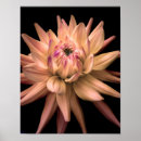 Recherche de floral crème art Beau