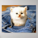 Recherche de poche posters Animaux