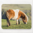 Recherche de poney shetland tapis souris Animal
