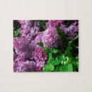 Suche nach flieder puzzle Lila