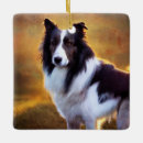 Recherche de colley ornements Chien