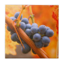 Recherche de vignoble carreaux Raisin