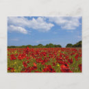 Recherche de champ des fleurs cartes postales Rouge