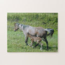 Recherche de jument puzzles Poulain