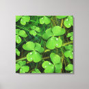 Suche nach kleeblatt leinwandbilder Tag