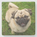Suche nach mops untersetzer Hund
