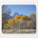 Suche nach laub mousepads Farbenfroh