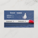 Recherche de mouette cartes visite Animal