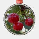 Recherche de cerise ornements Fruit