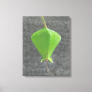 Suche nach stammes poster leinwandbilder Studie