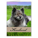 Recherche de spitz vœux cartes Chien