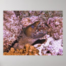 Suche nach wide poster Fotografie