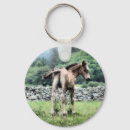 Recherche de poulain porteclés Chevaux