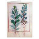 Recherche de testard cartes postales Illuminé