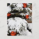 Recherche de jaspe cartes postales Gros plan