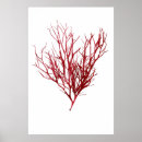 Suche nach algen poster Vintag