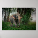 Suche nach thai poster Elefant