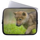 Suche nach wolf laptop schutzhüllen Wölfe