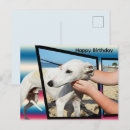 Recherche de whippet vœux cartes Animal