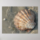 Suche nach strandplakat Natur