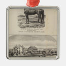 Recherche de kansas ornements Vue