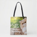 Suche nach persisch taschen Katze