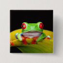 Suche nach fauna buttons Rot