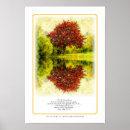 Recherche de arbre sacré posters Rouge