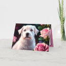 Suche nach kleine hunde karten Haustier