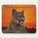 Recherche de pumas tapis souris Lion