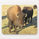 Suche nach weide mousepads Herde