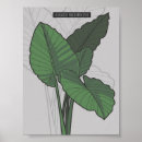 Suche nach tropical rainforest poster Jungle