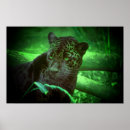 Recherche de black panthers posters Noir