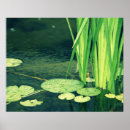 Suche nach lily pad poster Teich