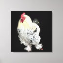 Recherche de plumage art Coq