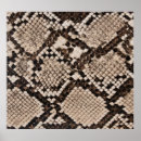 Suche nach python poster Darstellung
