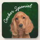 Suche nach cocker spaniel untersetzer Haustiere