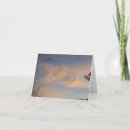 Recherche de cirrus Blanc