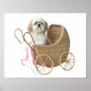 Suche nach kinderwagen kunst Hund