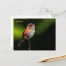 Recherche de arbre fruitier cartes postales Photographie de la nature