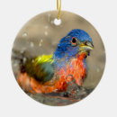 Suche nach gemalt ornamente Vögel