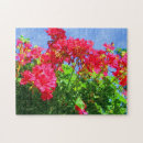 Suche nach die pelargonien Blumen