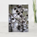 Recherche de gel vœux cartes Hiver