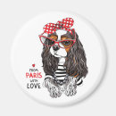 Recherche de polka magnets Mode