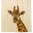 Recherche de girafe photographie Sauvage